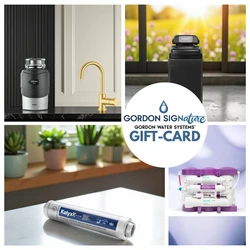 גורדון GIFT CARD