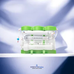  Gordon BWT Mineral אוסמוזה מקצועית 6 שלבים  